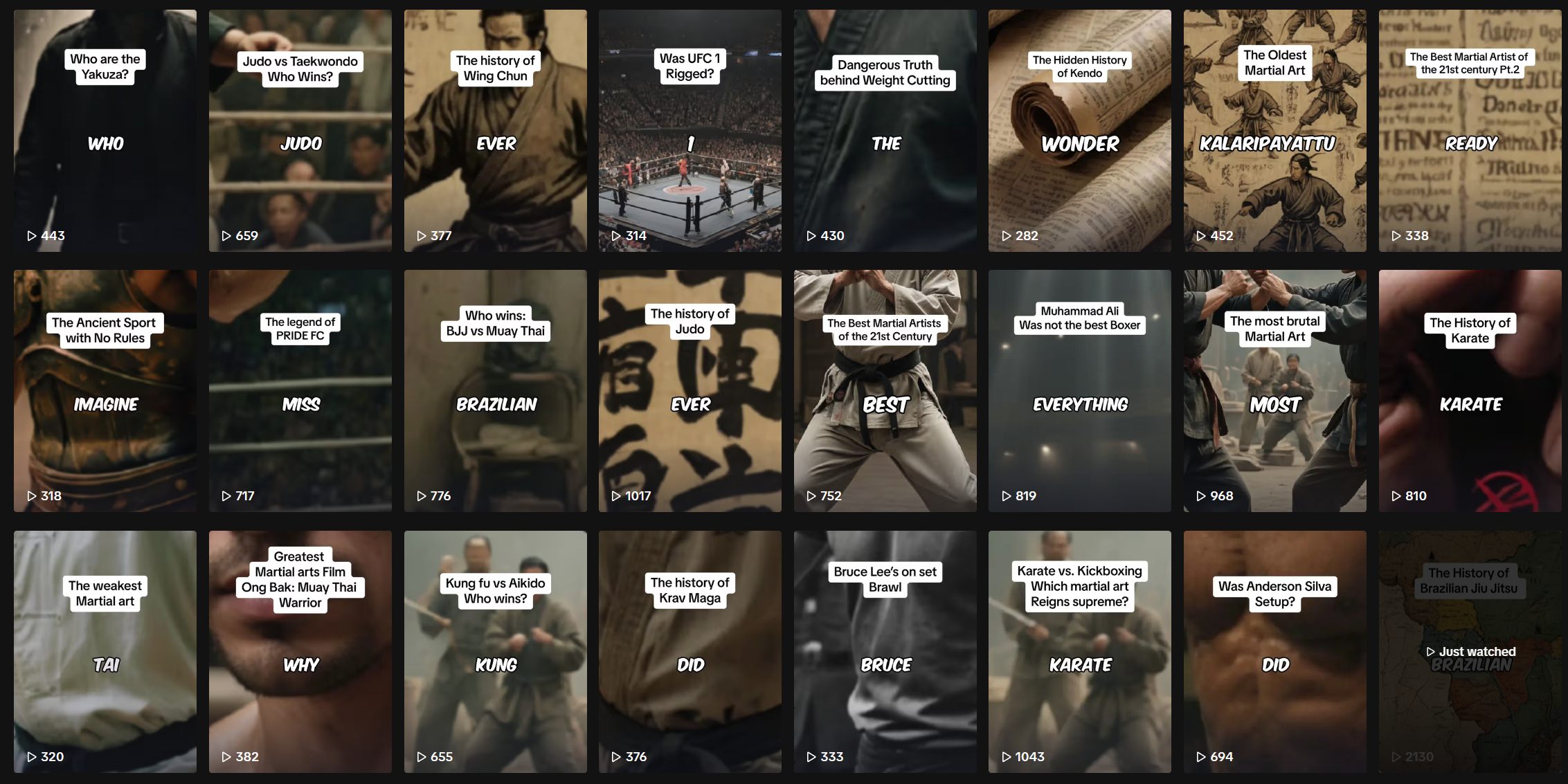 Dark background grid with various TikTok videos on martial arts.