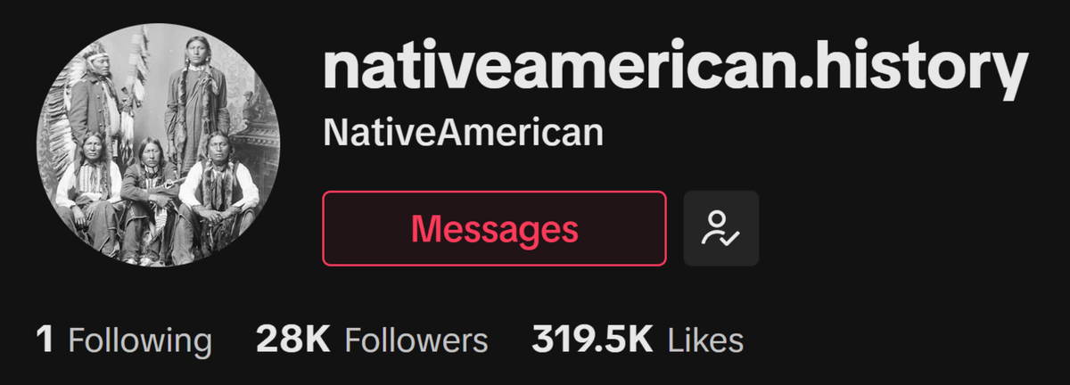 @nativeamerican.history TikTok profile with 28K followers and 319.5K likes, sharing Native American history.